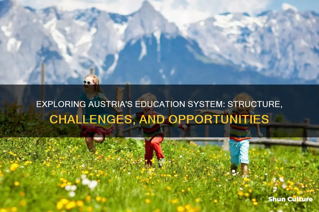 what is the school system like in austria