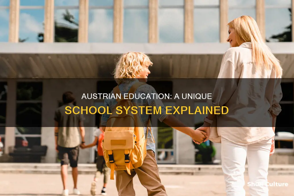 what is the school system like in austria