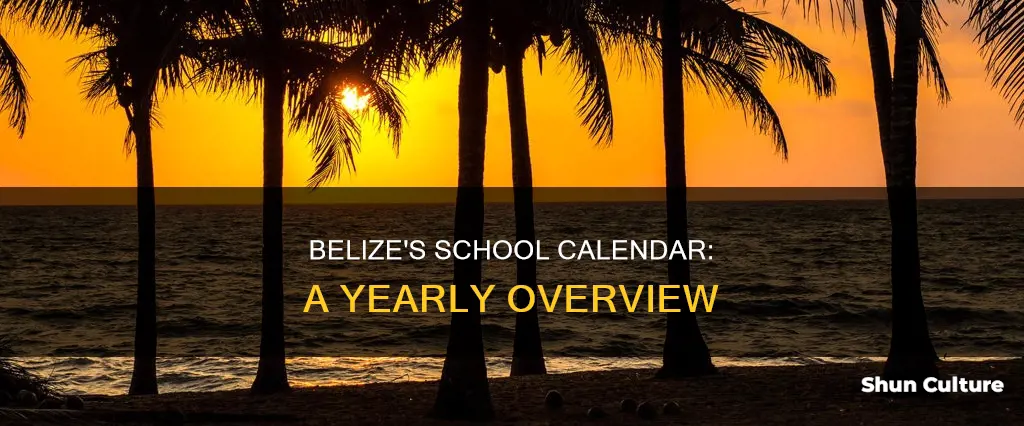 what is the school year in belize