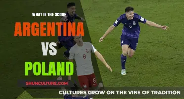 Argentina vs Poland: A Thrilling Match Score Update