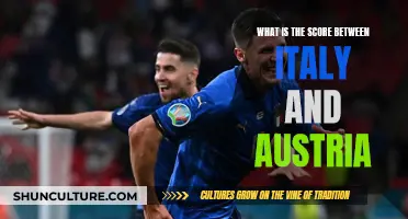 Italy's Dominance: Austria's Score in Soccer Match