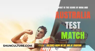 India vs Australia Test Match: Final Score Update