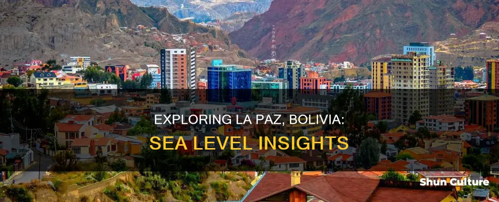 what is the sea level of la paz bolivia