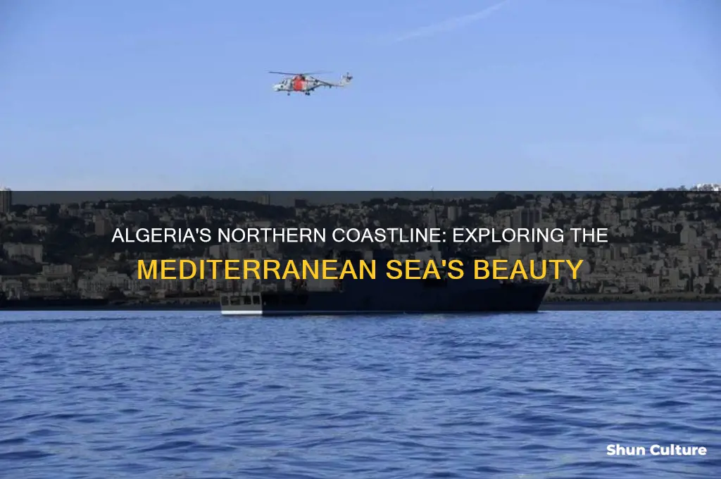 what is the sea that borders algeria to the north
