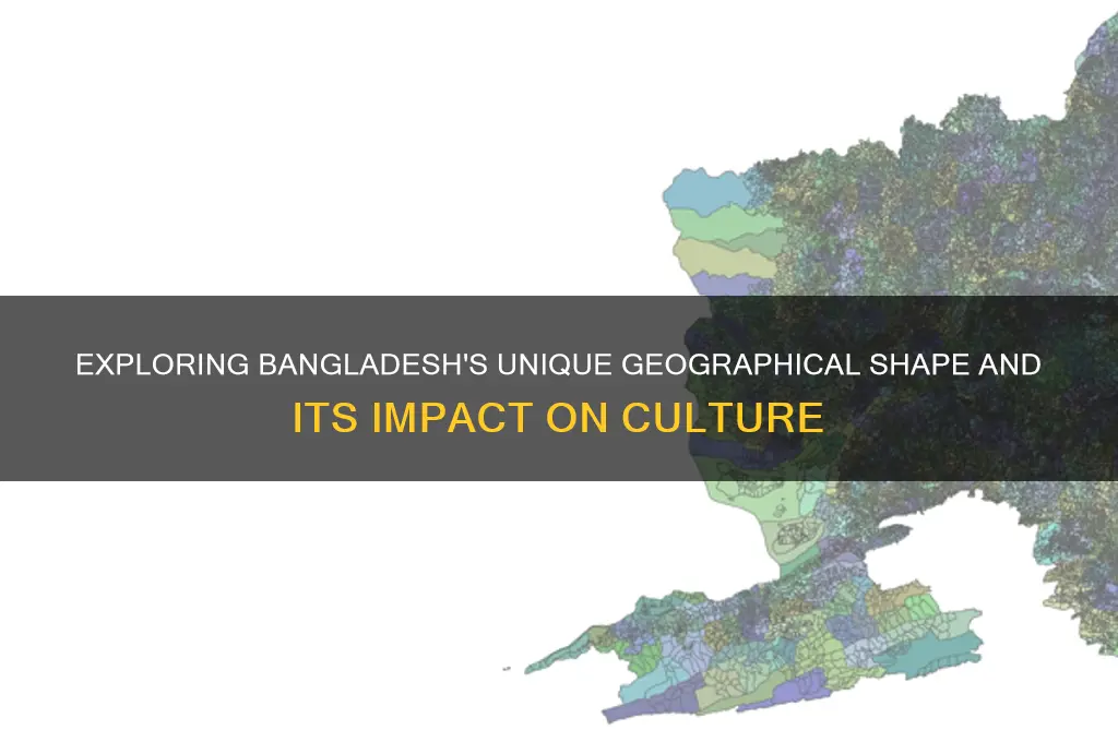 what is the shape of bangladesh