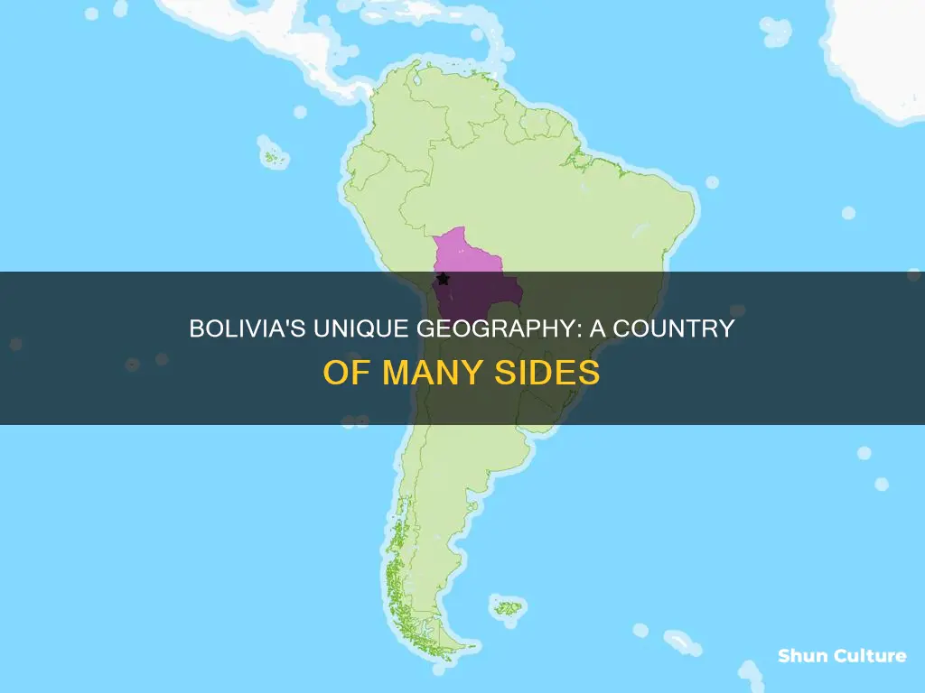 what is the shape of bolivia