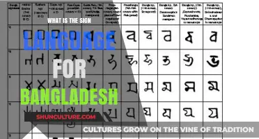 Exploring Bangladesh Sign Language: Culture, Gestures, and Communication Insights