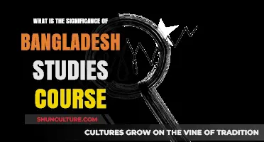 Exploring Bangladesh Studies: Unlocking Cultural, Historical, and Social Insights