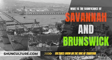 Savannah and Brunswick: Southern Coastal Significance