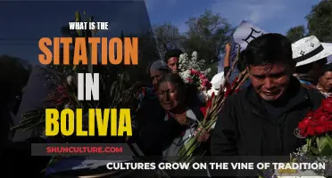 Bolivia's Turbulent Political Climate: Understanding the Unrest