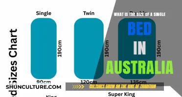 Single Bed Size Guide for Australians