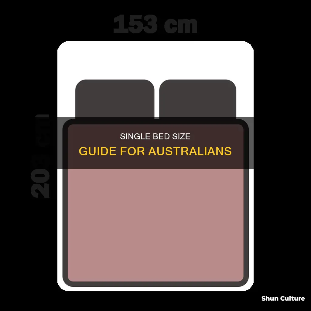 what is the size of a single bed in australia