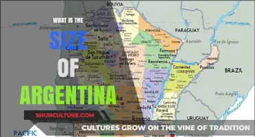 Exploring Argentina's Vast Territory: A Comprehensive Size Guide