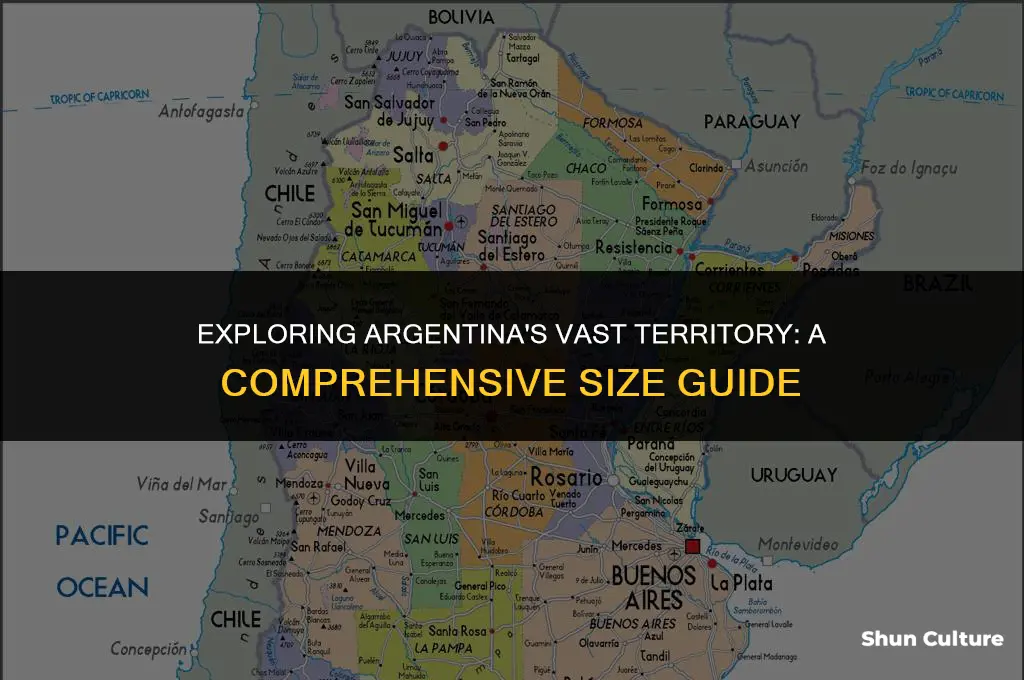 what is the size of argentina