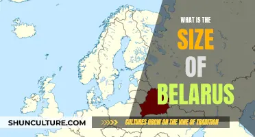 Belarus' Geographical Extent: How Big is the Country?