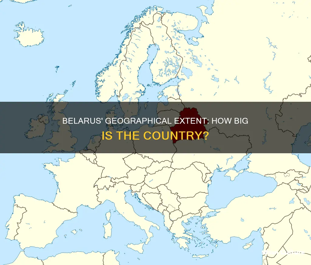 what is the size of belarus