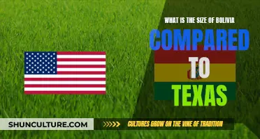 How Does Bolivia's Size Compare to Texas?