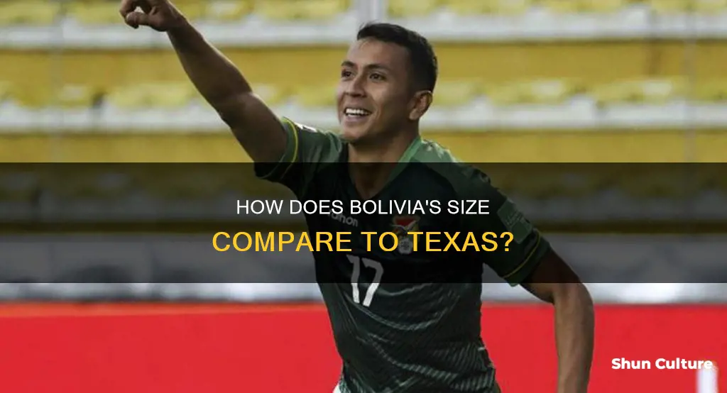 what is the size of bolivia compared to texas