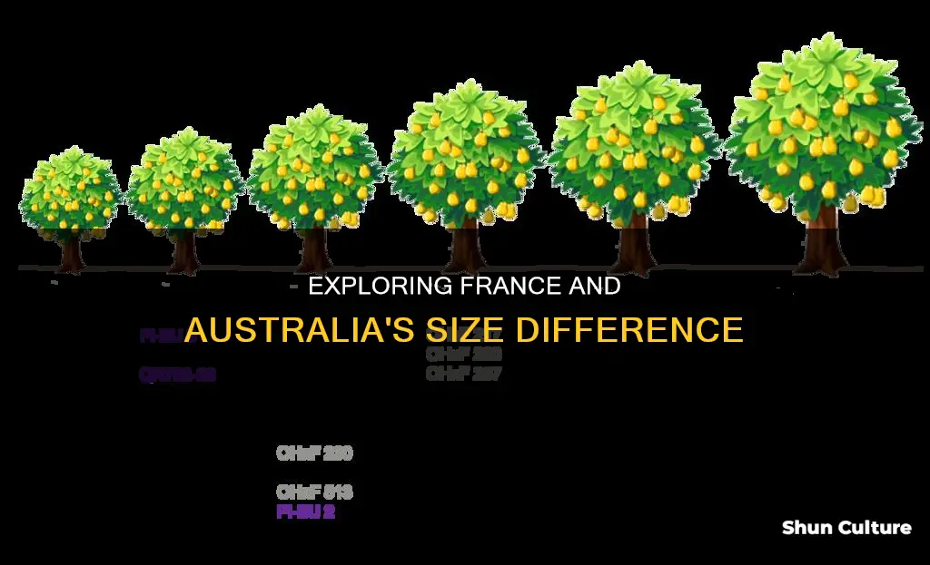what is the size of france compared to australia