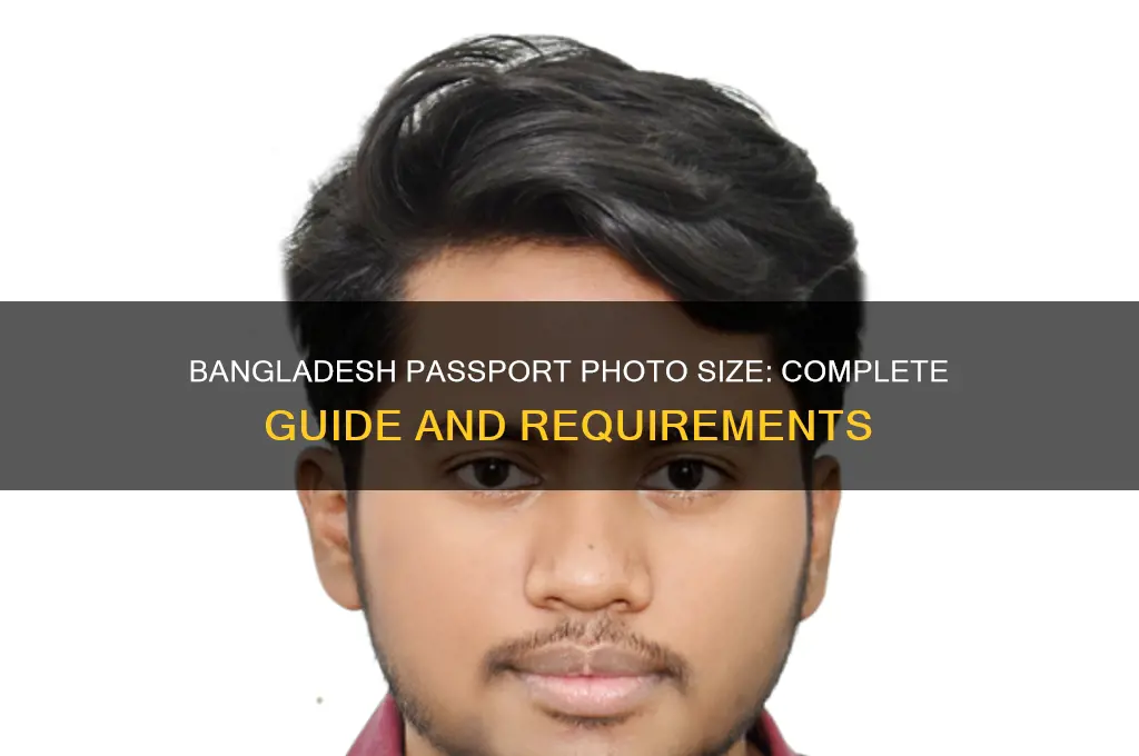 what is the size of passport photo in bangladesh