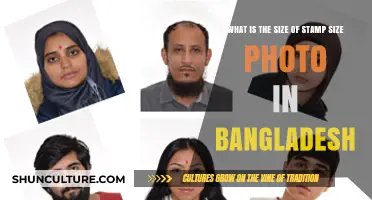 Standard Stamp-Sized Photo Dimensions in Bangladesh: A Quick Guide