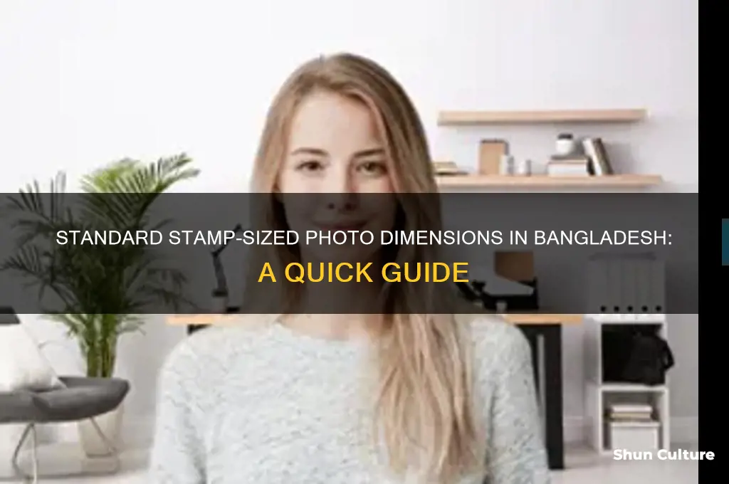 what is the size of stamp size photo in bangladesh