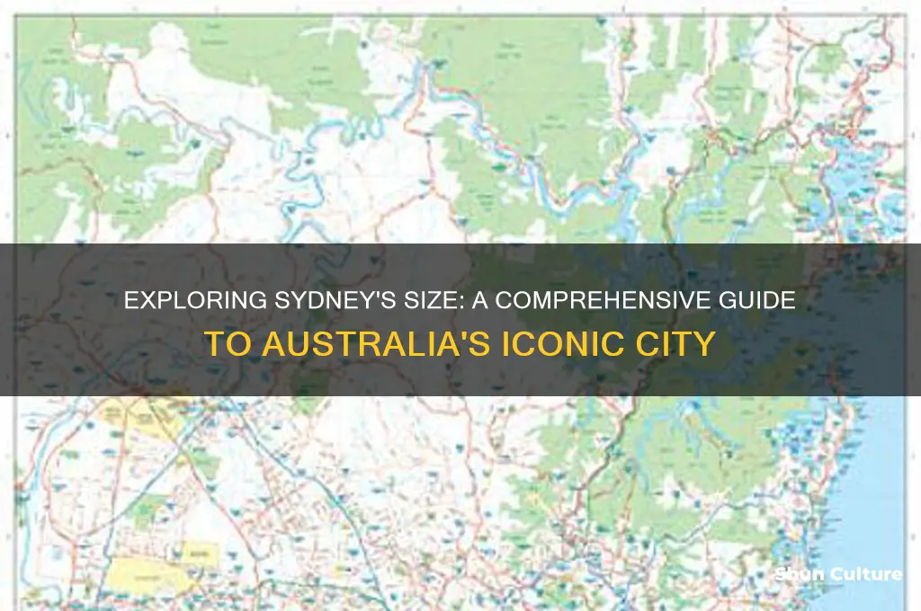 what is the size of sydney australia