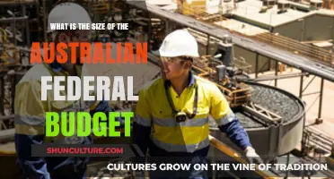 Federal Budget: Australia's Annual Spending Spree