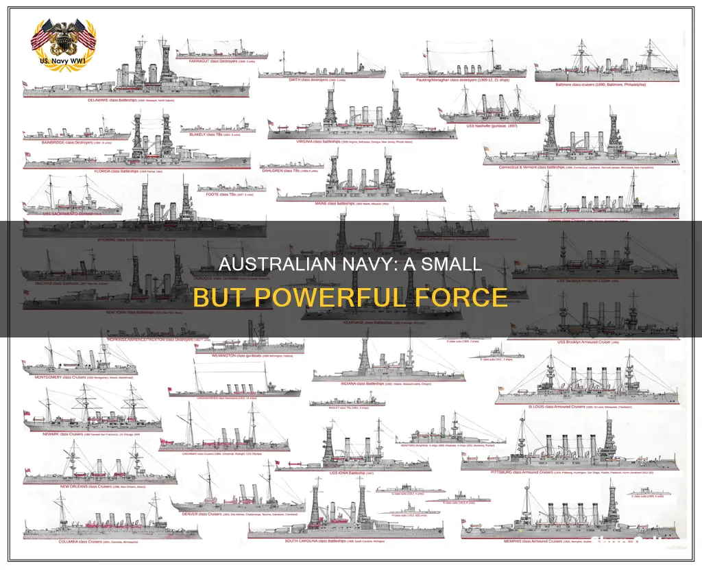 what is the size of the australian navy