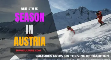 Austria's Ski Season: A Guide to the Alpine Adventure