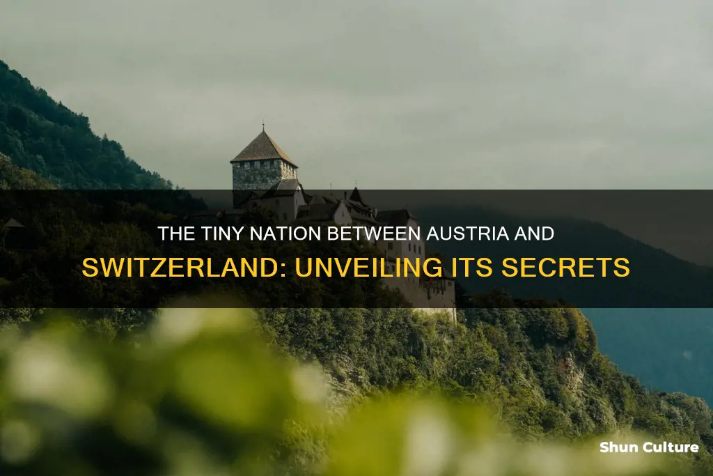 what is the small country between austria and switzerland