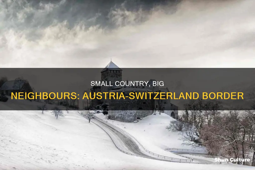 what is the small country between austria and switzerland