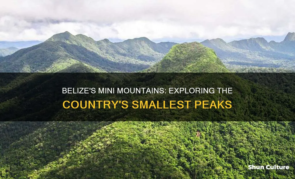 what is the smallest mountain in belize