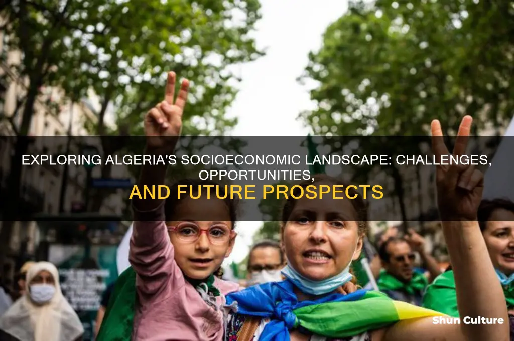 what is the socioconomic of algeria