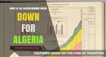 Algeria's Socioeconomic Landscape: Understanding Class, Wealth, and Inequality