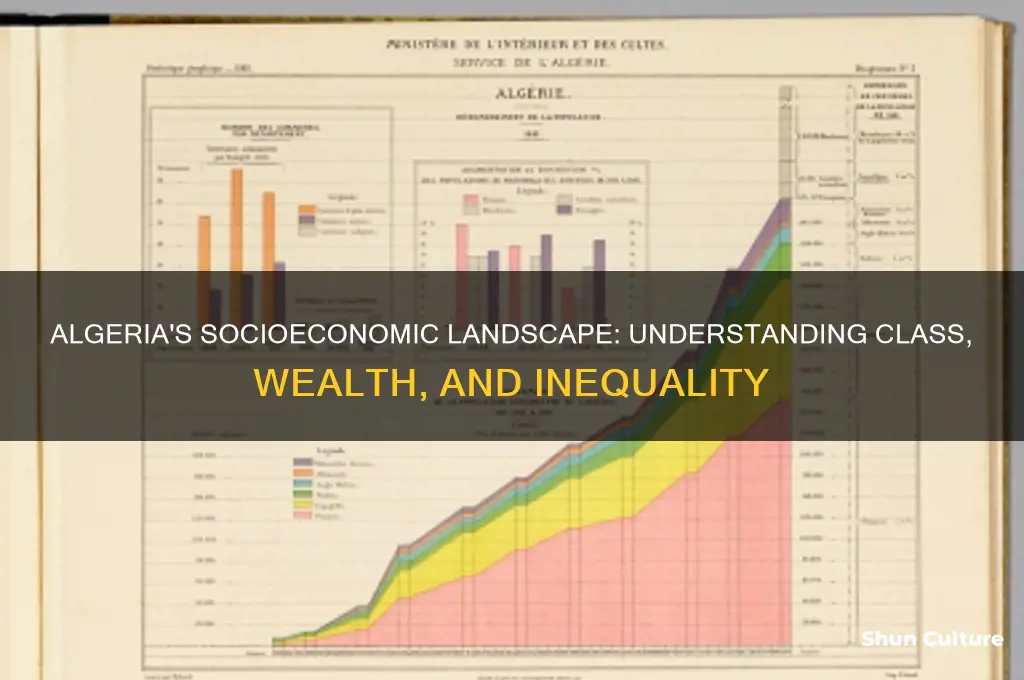 what is the socioeconomic break down for algeria