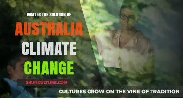 Australia's Climate Change: Mitigation and Adaptation Strategies