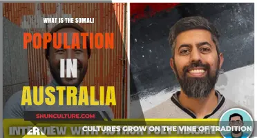 Somali Immigrants in Australia: Population and Trends