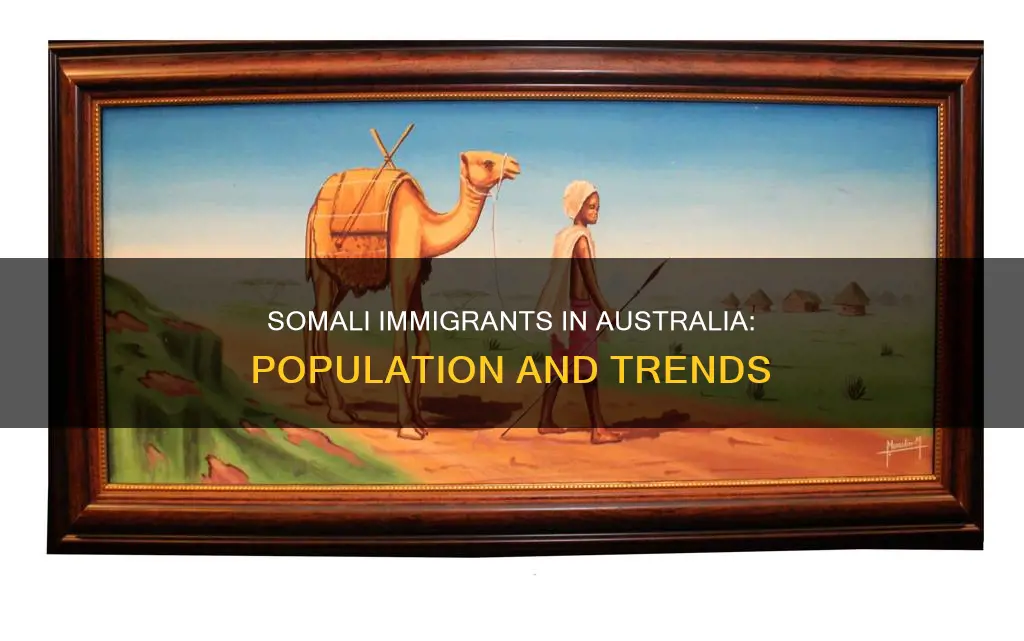 what is the somali population in australia