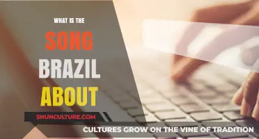 Unveiling the Meaning Behind the Classic Song 'Brazil