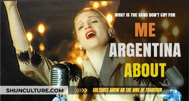Understanding 'Don't Cry for Me Argentina': A Lyrical Journey