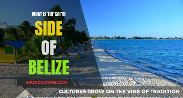 The Secrets of Belize's South Side: An Adventure into the Unknown