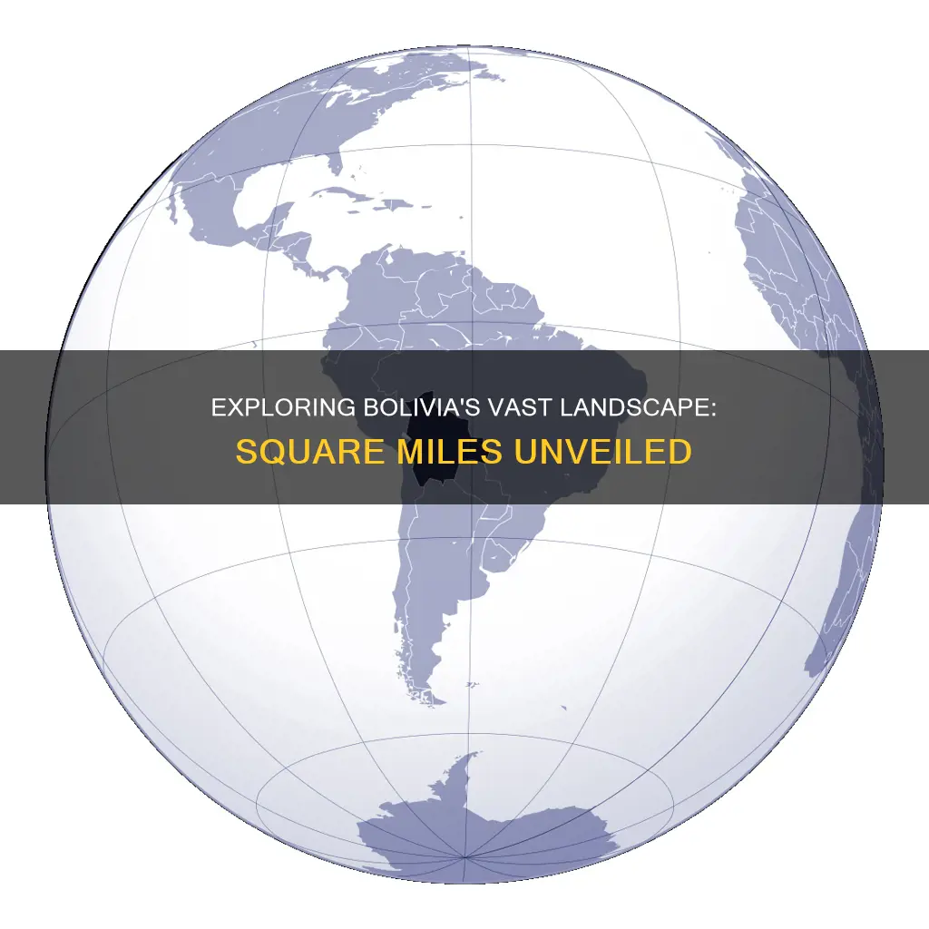 what is the square miles of bolivia