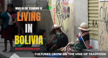 Living Standards in Bolivia: A Comprehensive Overview