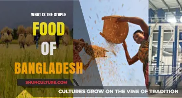 Exploring Bangladesh's Staple Food: Rice, Culture, and Culinary Traditions