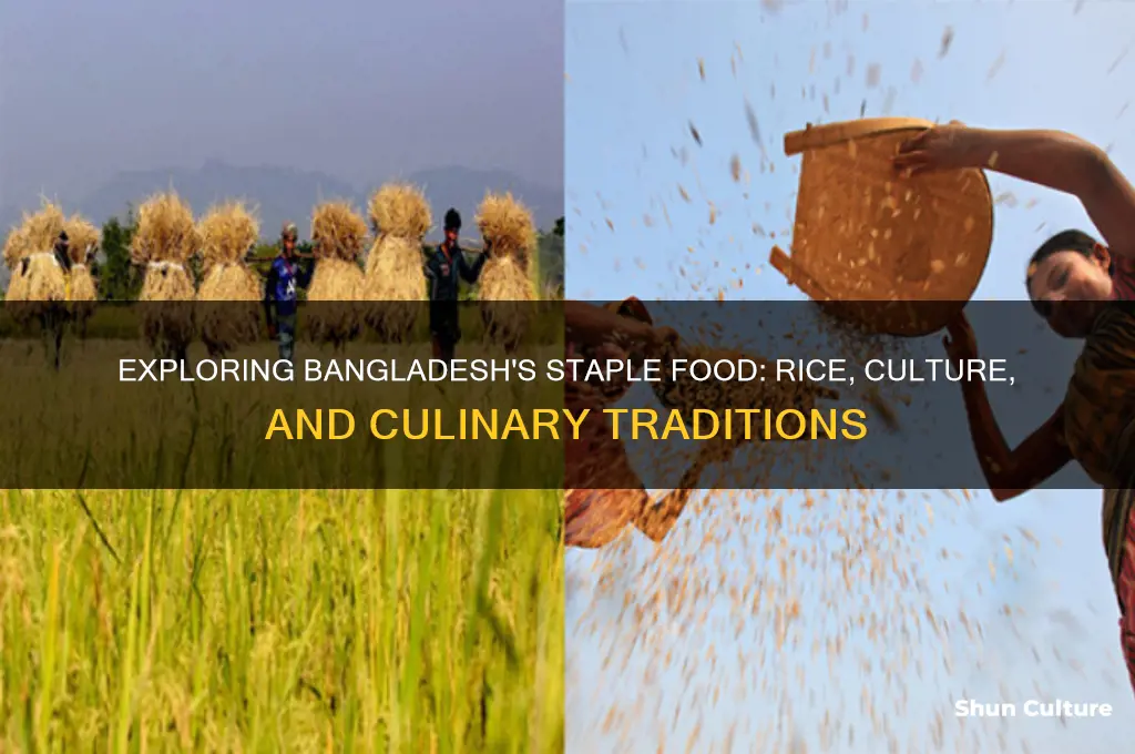 what is the staple food of bangladesh