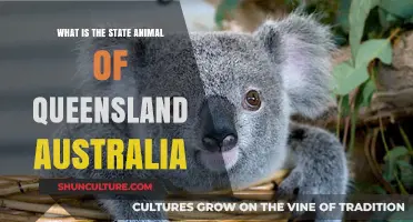 Queensland's State Animal: What Is It?