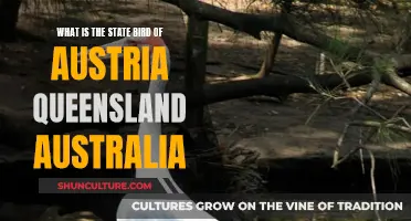 Unveiling Australia's Unique State Bird: Austria's Queensland Symbol