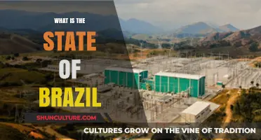 Exploring Brazil's Current Political, Economic, and Social Landscape in Depth