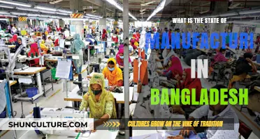 Bangladesh's Manufacturing Sector: Current Trends, Challenges, and Future Prospects